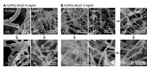 北京科技大學(xué)等《ACS Appl. Electron. Mater.》：使用碳納米管支架開發(fā)彈性，堅固和高度多孔的金屬泡沫