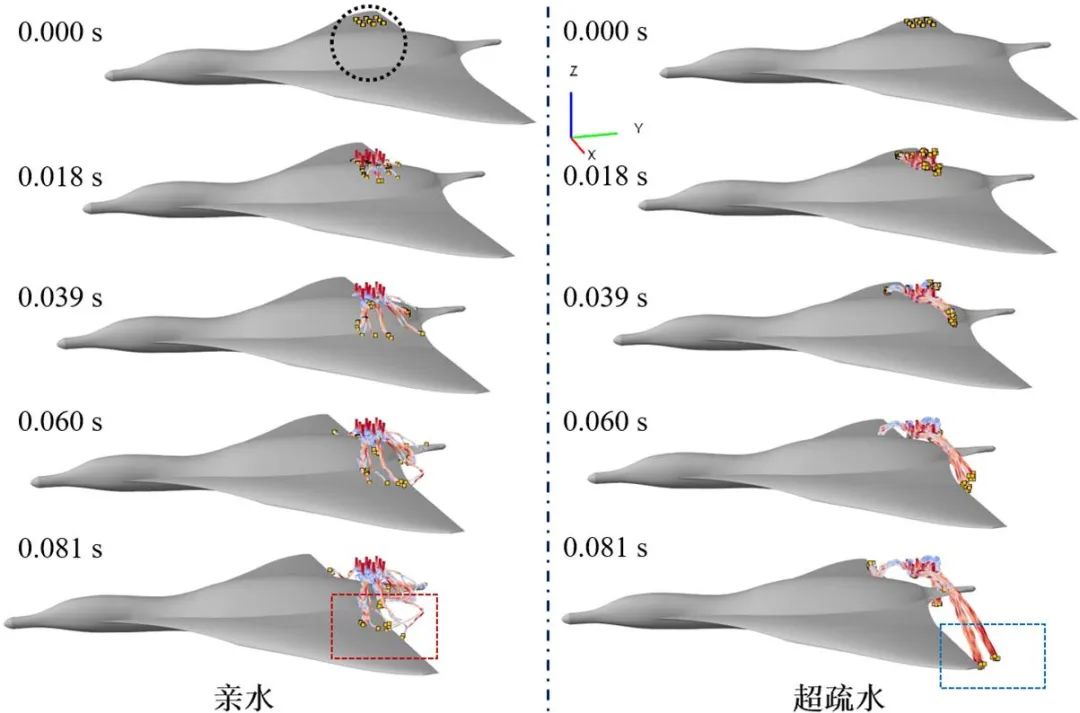 吉林大學任露泉院士團隊：跨介質(zhì)飛行器仿生基礎(chǔ)理論研究——利用移動各向異性超疏水表面誘導液滴定向翻滾實現(xiàn)附著水高效脫附