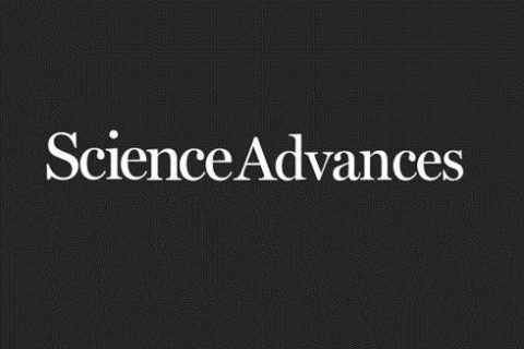 《Science Advances》：仿松針多級非對稱結(jié)構(gòu)超疏水表面多尺度液滴定向輸運(yùn)