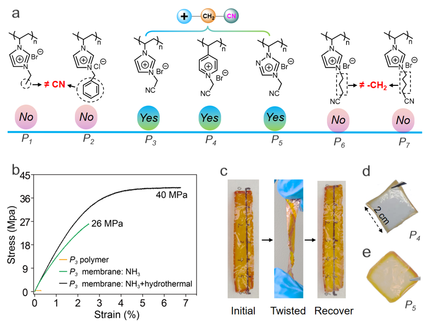 華中科技大學(xué)趙強(qiáng)教授《Mater. Horiz.》：“陽離子腈”序列編碼聚電解質(zhì)復(fù)合膜