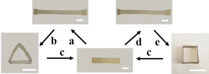 浙江大學計劍、沈介澤：透過現(xiàn)象用本質！一種受高分子粘彈性啟發(fā)的形變策略