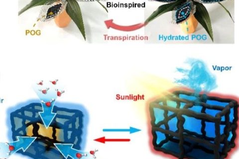 寧波材料所陳濤團隊《Angew》：受鐵蘭啟發(fā)的仿生有機凝膠進行大氣水分收集！