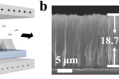 北京大學(xué)張錦院士團(tuán)隊(duì)：垂直排列的石墨烯陣列！散熱技術(shù)新突破