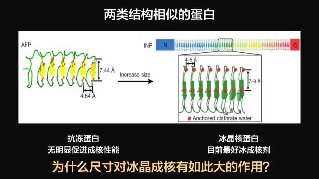 王健君：實證百年科學猜想，人體凍存未來可期