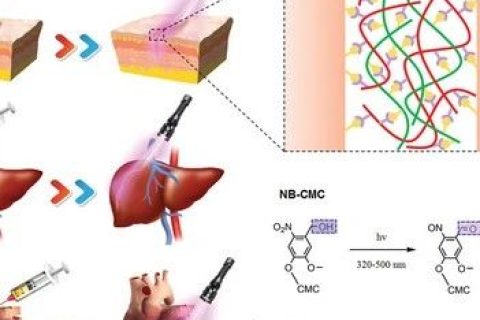 液體繃帶！具有強大組織粘合力、出色的止血、抗菌性能