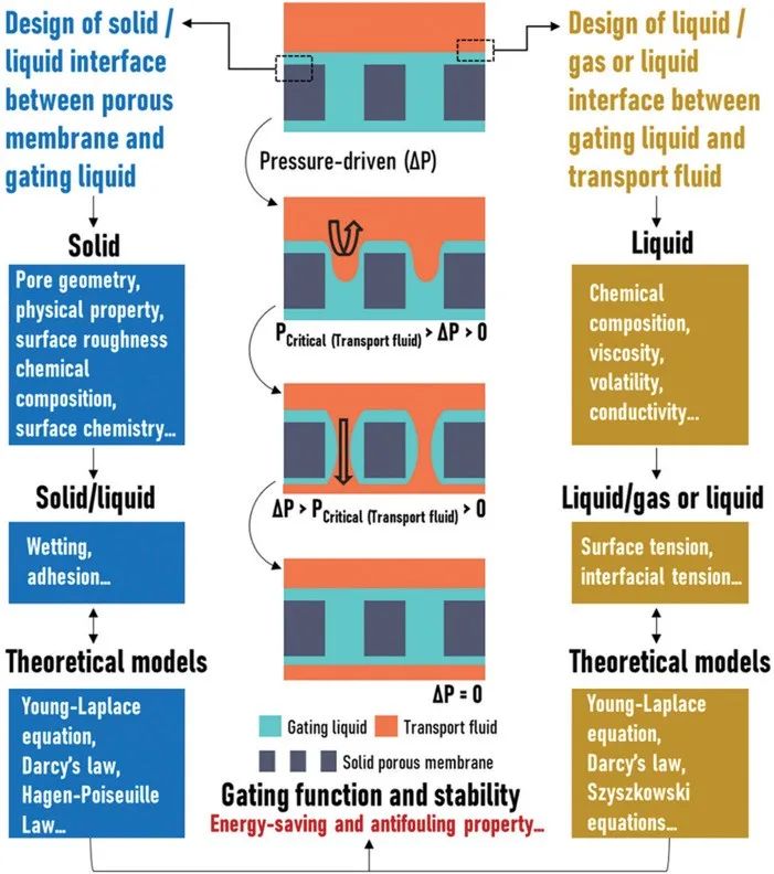 廈門大學(xué)侯旭課題組綜述：液基多孔膜，微納孔道藏世界，液體門控通乾坤！