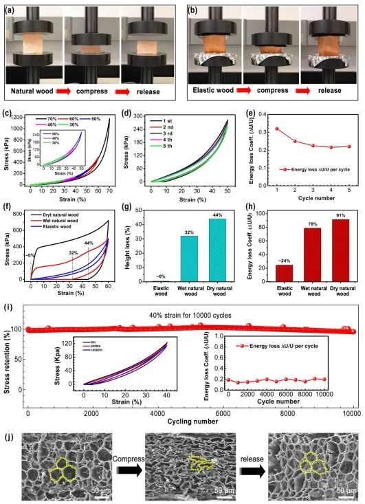 ?胡良兵/李騰《ACS Nano》：彈性木材！歷經(jīng)萬(wàn)次壓縮，性能如初！