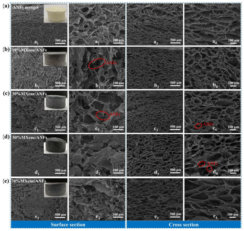 Kevlar納米纖維和MXene再登《ACS Nano》：陜科大張美云團(tuán)隊(duì)：高回彈性、耐高溫、高靈敏度氣凝膠傳感器