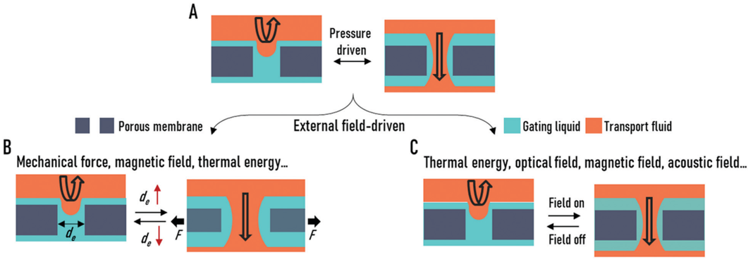 廈門大學(xué)侯旭課題組綜述：液基多孔膜，微納孔道藏世界，液體門控通乾坤！