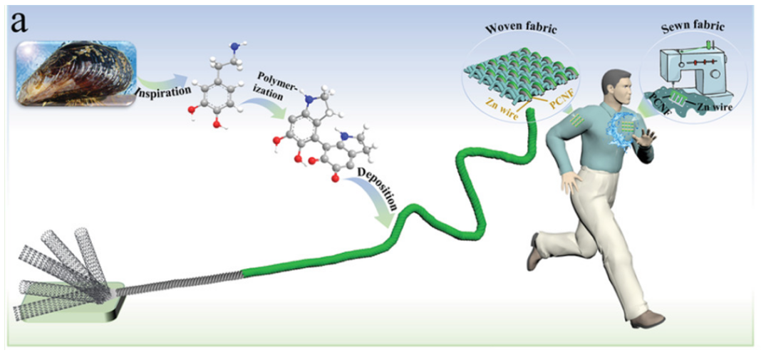 《AFM》：生物仿生材料助力設計可編織、縫紉、洗滌的高容量柔性鋅電池織物
