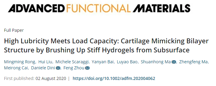 蘭州化物所周峰團隊《AFM》：仿天然軟骨的雙層水凝膠實現(xiàn)高負載與低摩擦！