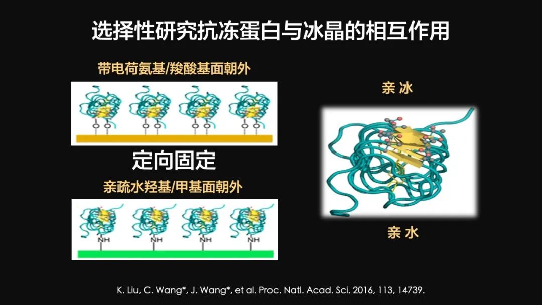 王健君：實證百年科學猜想，人體凍存未來可期