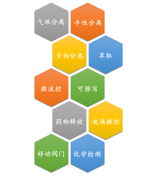 廈門大學(xué)侯旭課題組綜述：液基多孔膜，微納孔道藏世界，液體門控通乾坤！