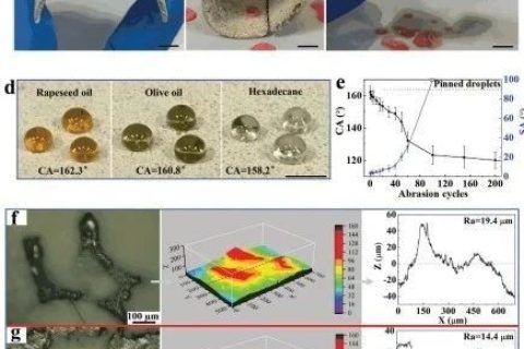 清華大學(xué)鄭泉水院士團(tuán)隊(duì)《AFM》：耐磨損、耐沖擊、自清潔的超疏水/超疏油微納復(fù)合材料