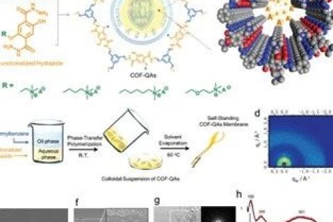 具有最高氫氧化物電導(dǎo)率的COFs膜，實(shí)現(xiàn)超快陰離子傳輸