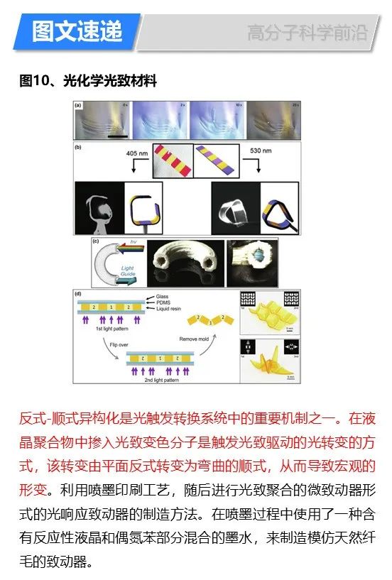 華盛頓州立大學(xué)林躍河《Materals Today》:3D/4D打印智能聚合物和納米復(fù)合材料