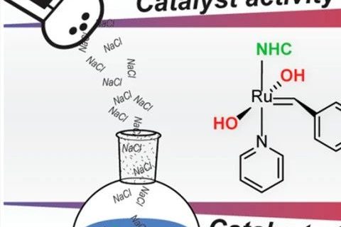 《JACS》：“開環(huán)易位聚合”像炒菜，加點鹽可控性更好！