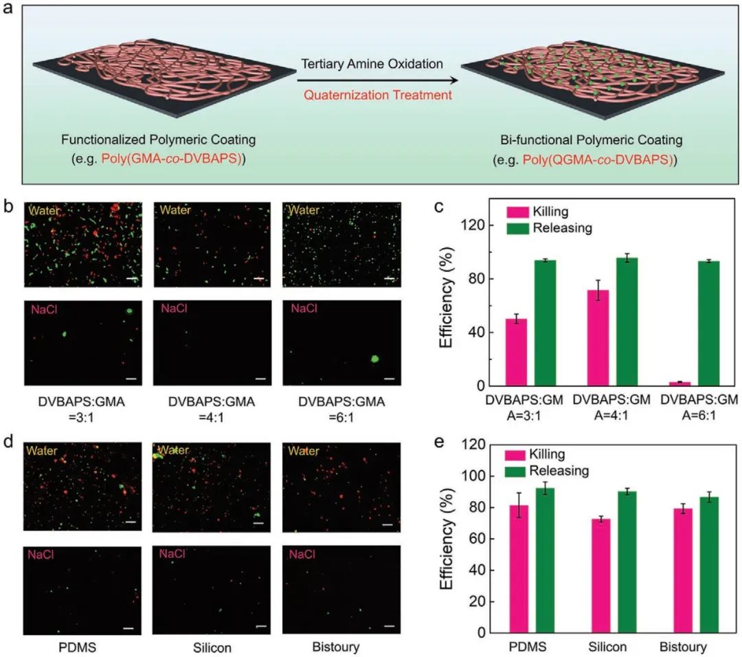 浙江工業(yè)大學(xué)楊晉濤《AFM》：表面涂層領(lǐng)域新突破！一種可控功能化聚合物表面的通用涂層策略