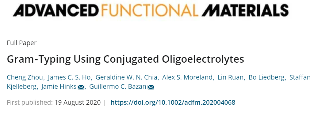 新加坡國立大學《AFM?》：肉眼可見！共軛低聚電解質助力革蘭氏細菌的區(qū)分