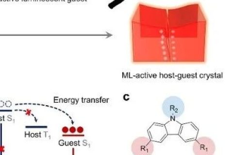中山大學池振國教授團隊：力致發(fā)光材料體系的新設計策略
