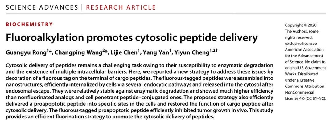 華東師大程義云團(tuán)隊(duì)《Sci.Adv.》：開發(fā)出多肽胞內(nèi)遞送新技術(shù)