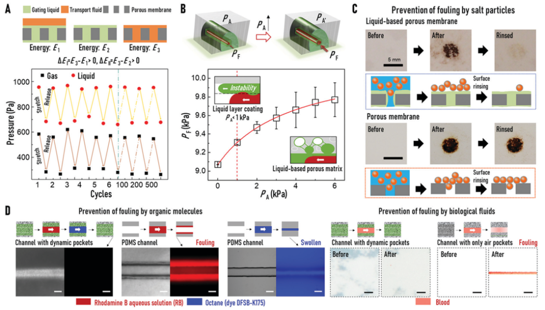 廈門大學(xué)侯旭課題組綜述：液基多孔膜，微納孔道藏世界，液體門控通乾坤！