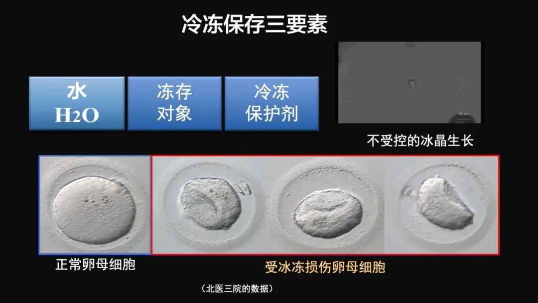 王健君：實證百年科學猜想，人體凍存未來可期