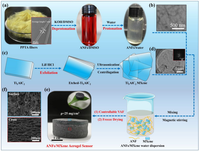 Kevlar納米纖維和MXene再登《ACS Nano》：陜科大張美云團(tuán)隊(duì)：高回彈性、耐高溫、高靈敏度氣凝膠傳感器