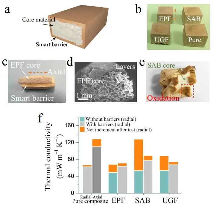 江漢大學(xué)曹一平《ACS Nano?》：仿生新成果！響應(yīng)空氣-水的復(fù)合材料，具有優(yōu)異的隔熱、自修復(fù)和自生長能力