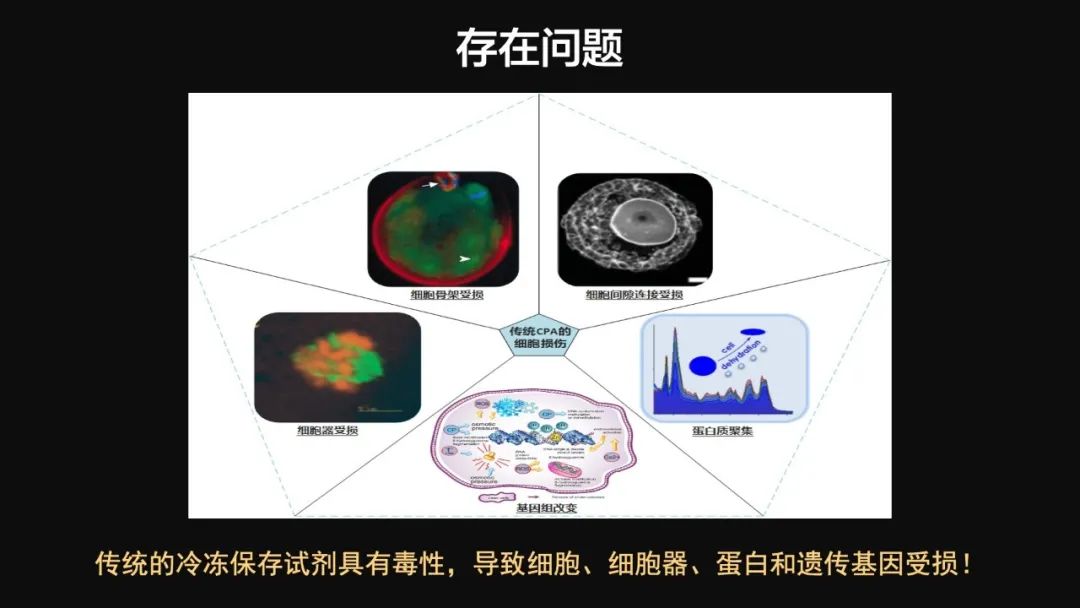 王健君：實證百年科學猜想，人體凍存未來可期