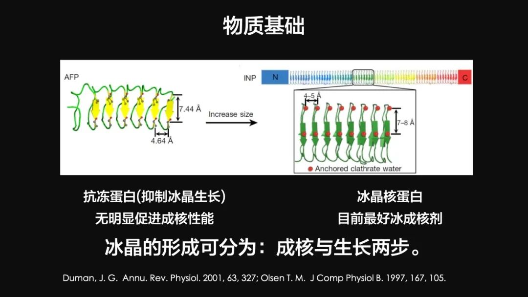 王健君：實證百年科學猜想，人體凍存未來可期