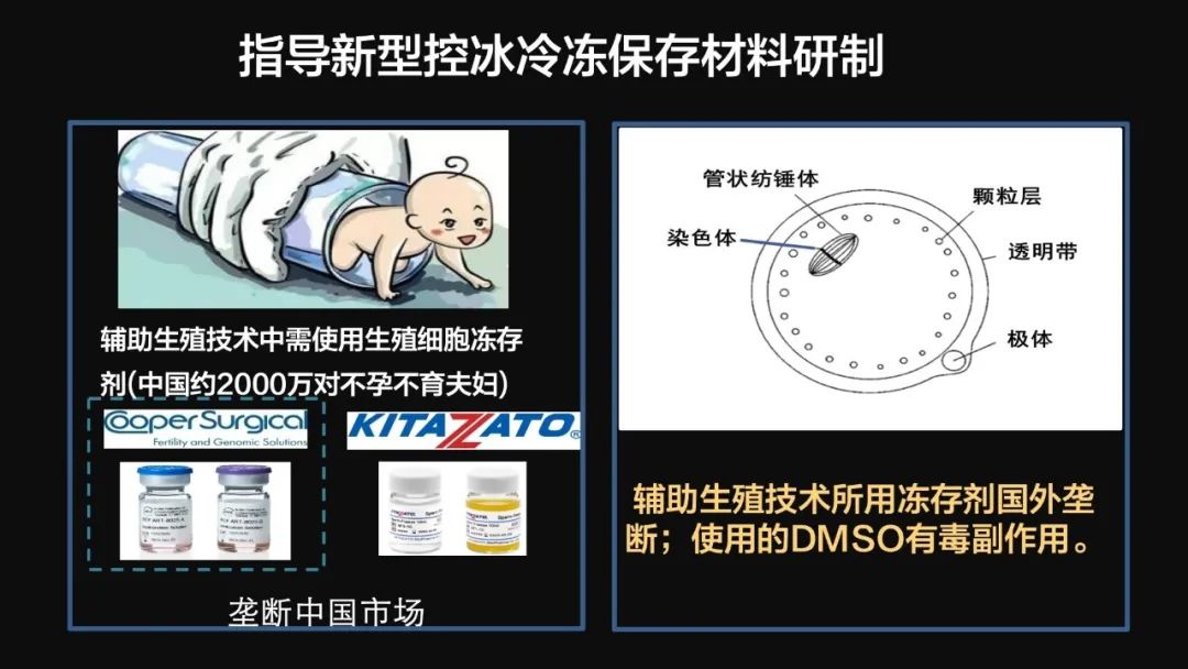 王健君：實證百年科學猜想，人體凍存未來可期