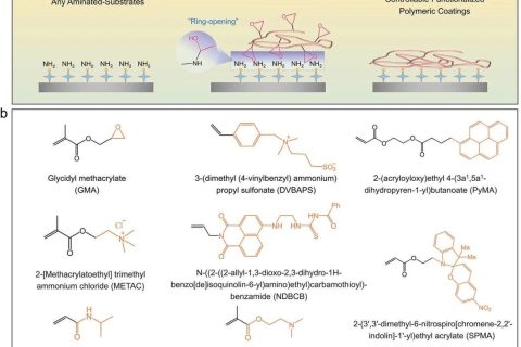 表面涂層領域新突破！一種可控功能化聚合物表面的通用涂層策略