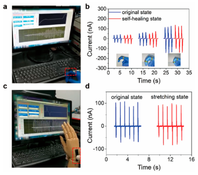 ?北科大張躍院士/廖慶亮教授《ACS Nano》：基于導(dǎo)電自修復(fù)彈性體的自供電電子皮膚