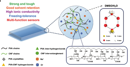 《AFM》：纖維素納米纖維增強(qiáng)離子導(dǎo)電水凝膠：制備簡(jiǎn)單，應(yīng)用前景廣泛