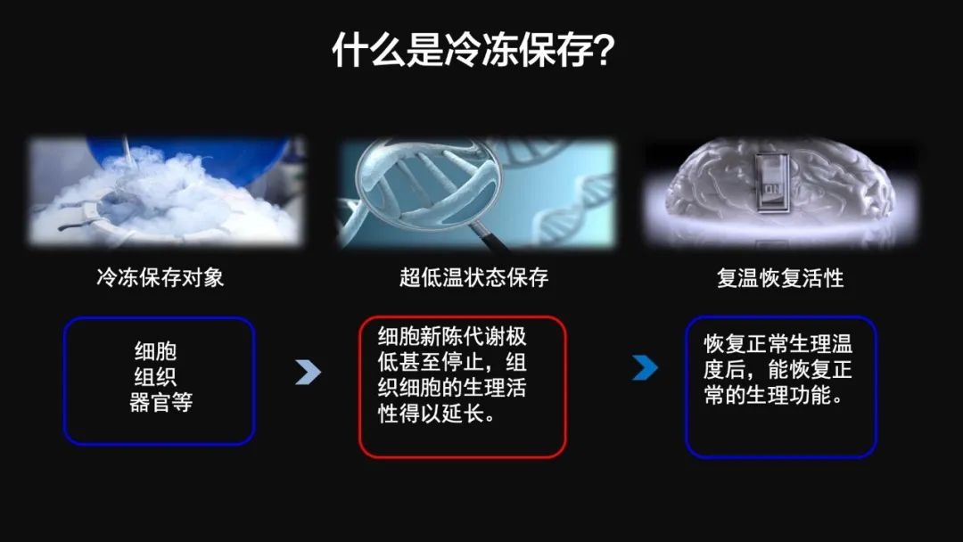 王健君：實證百年科學猜想，人體凍存未來可期