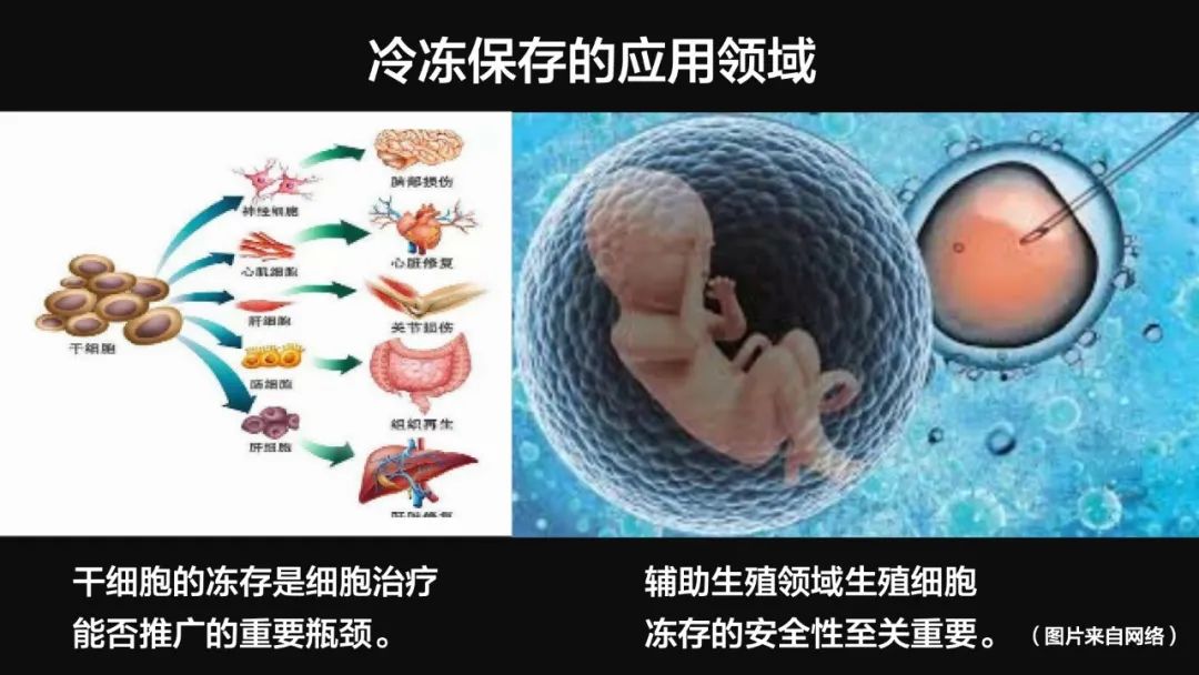 王健君：實證百年科學猜想，人體凍存未來可期