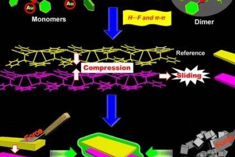 控制AIEgen晶體的分子運(yùn)動，實(shí)現(xiàn)力致發(fā)光