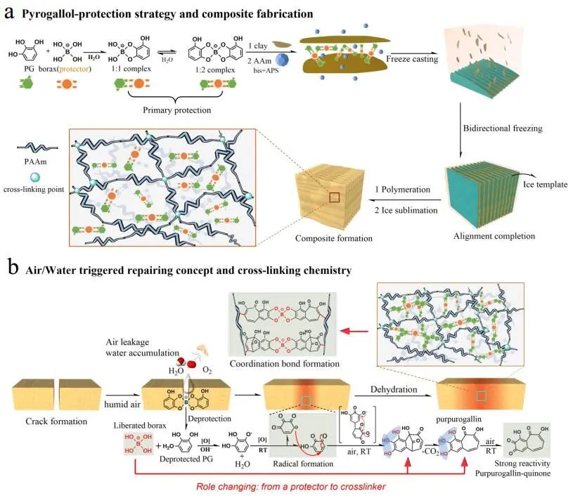 江漢大學(xué)曹一平《ACS Nano?》：仿生新成果！響應(yīng)空氣-水的復(fù)合材料，具有優(yōu)異的隔熱、自修復(fù)和自生長能力