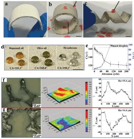 清華大學鄭泉水院士團隊《AFM》：耐磨損、耐沖擊、自清潔的超疏水/超疏油微納復合材料