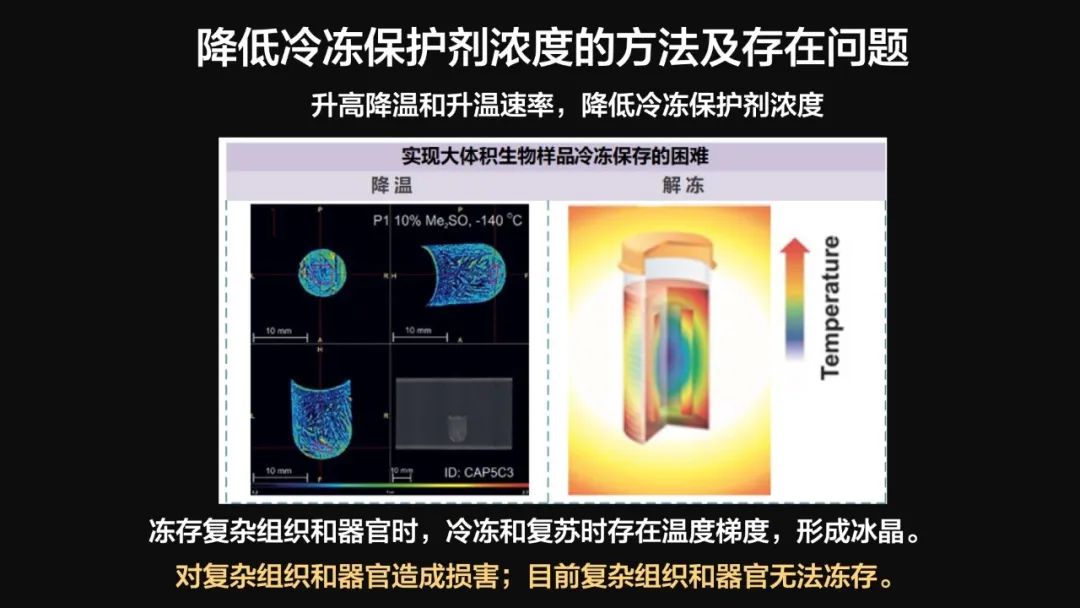 王健君：實證百年科學猜想，人體凍存未來可期