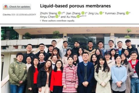 廈門大學(xué)侯旭課題組綜述：液基多孔膜，微納孔道藏世界，液體門控通乾坤！