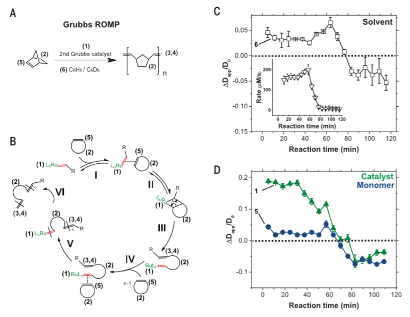 《Science》重磅：化學基本法則再次受到挑戰(zhàn)！