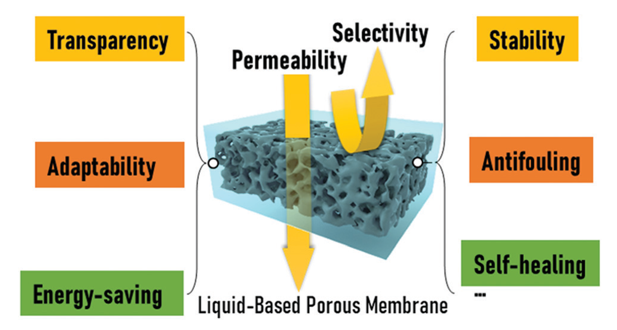 廈門大學(xué)侯旭課題組綜述：液基多孔膜，微納孔道藏世界，液體門控通乾坤！