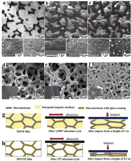 清華大學鄭泉水院士團隊《AFM》：耐磨損、耐沖擊、自清潔的超疏水/超疏油微納復合材料