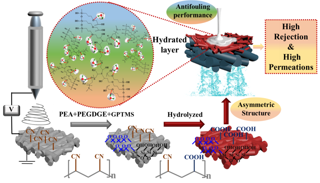 哈工大(威海)張瑛潔教授團隊在超親水膜制備領(lǐng)域取得最新進展