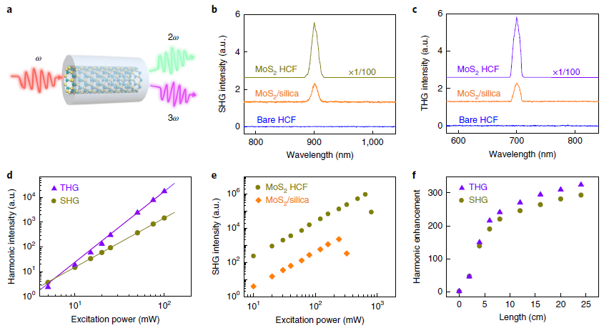 北京大學(xué)劉忠范院士/劉開(kāi)輝教授等《自然·納米技術(shù)》：光纖內(nèi)二維材料的均勻生長(zhǎng)實(shí)現(xiàn)超高非線性