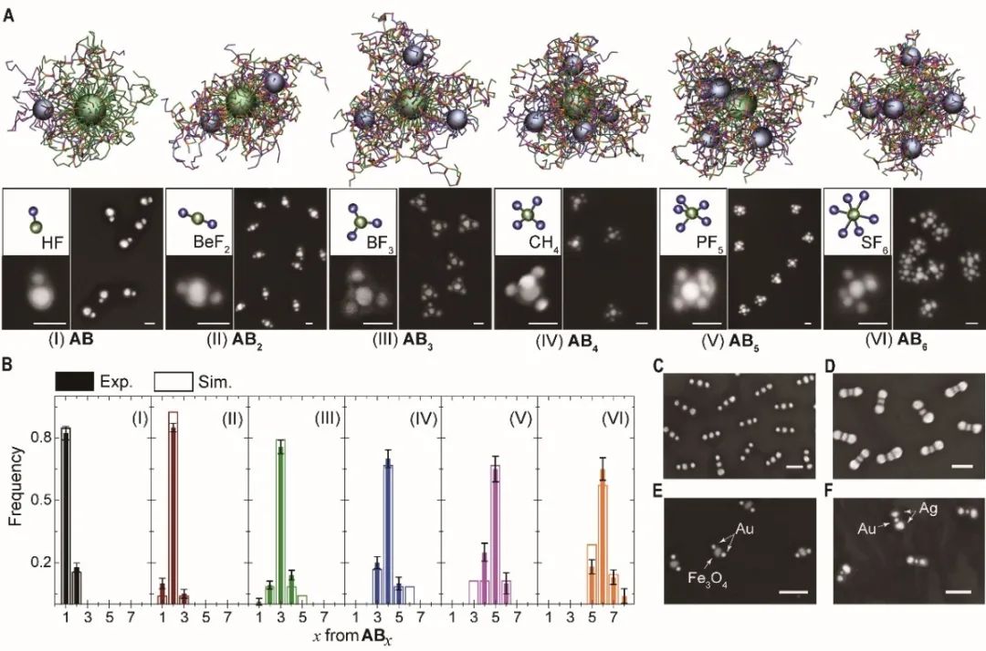 復(fù)旦大學(xué)高分子系聶志鴻《Science》：在納米“人造分子”制備領(lǐng)域取得重大突破