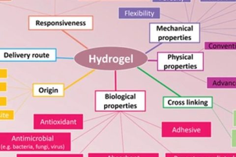 生物醫(yī)學水凝膠怎么選？先進的納米/水凝膠在生物醫(yī)學中的潛在應用：靜態(tài)，動態(tài)，多級和生物啟發(fā)