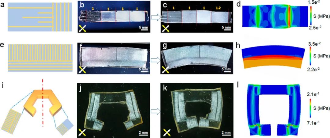 浙江大學高超、許震團隊《ACS Nano》:在剪切微印刷術研究方面再獲進展